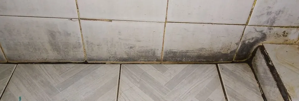 Actual discoloration on bathroom tile and grout; appearance does not establish mold species