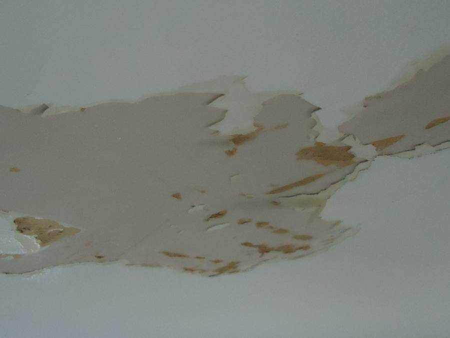 Peeling ceiling finish and exposed water-damaged drywall